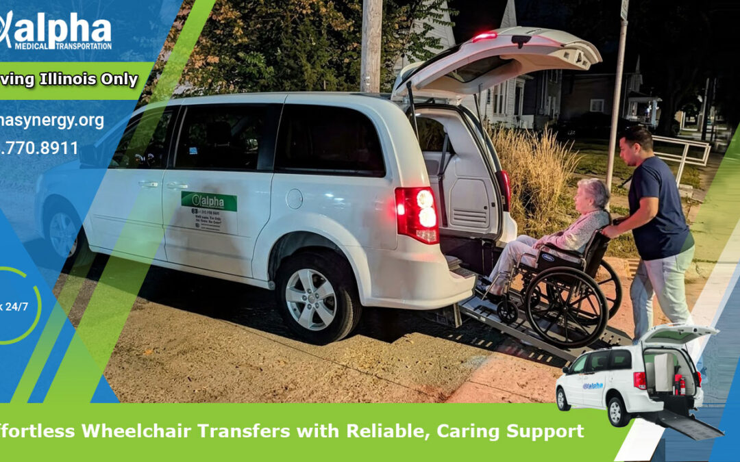 Effortless Wheelchair Transfers with Reliable, Caring Support