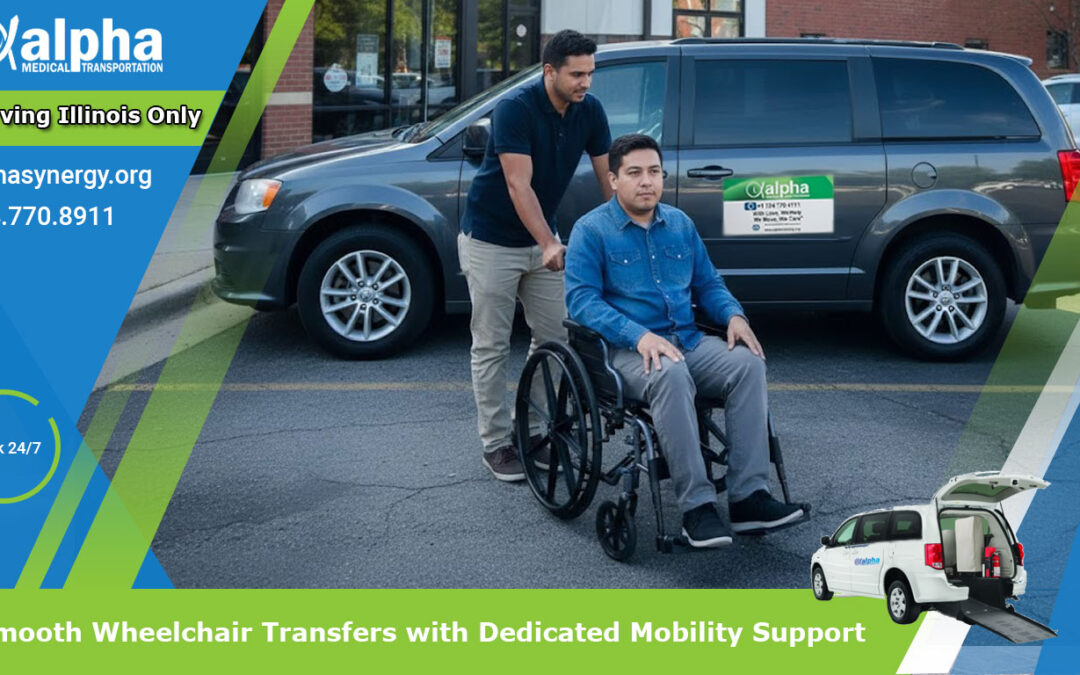 Smooth Wheelchair Transfers with Dedicated Mobility Support