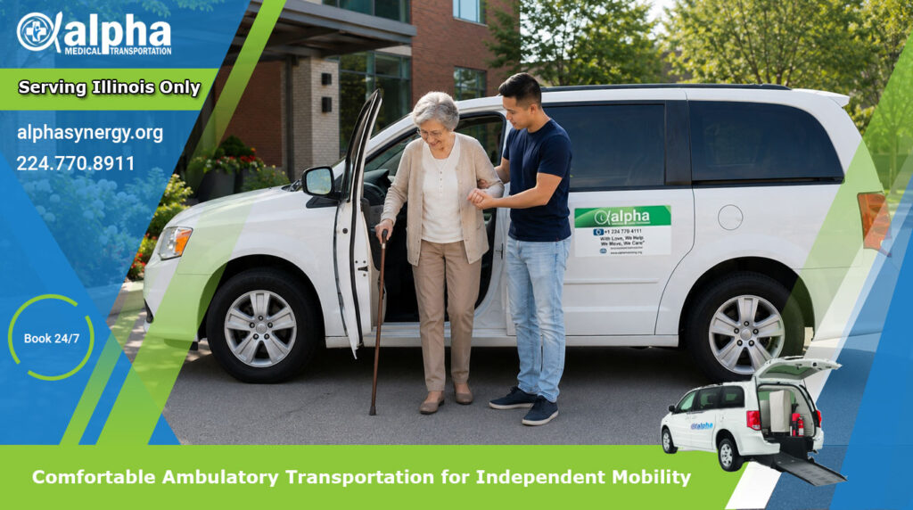 Comfortable Ambulatory Transportation for Independent Mobility