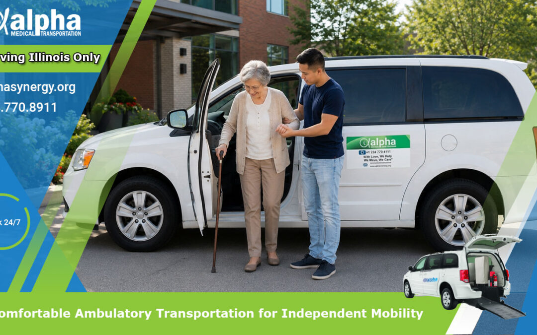 Comfortable Ambulatory Transportation for Independent Mobility