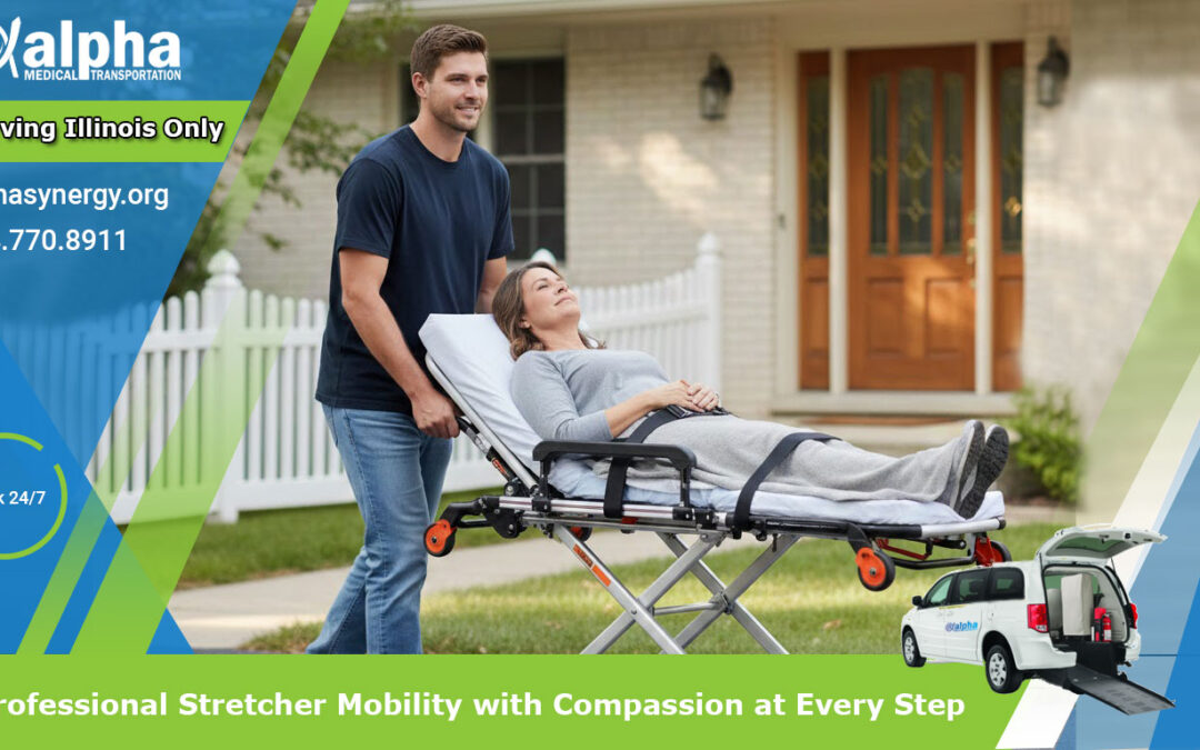 Safe & Seamless Wheelchair Transfers for Every Journey