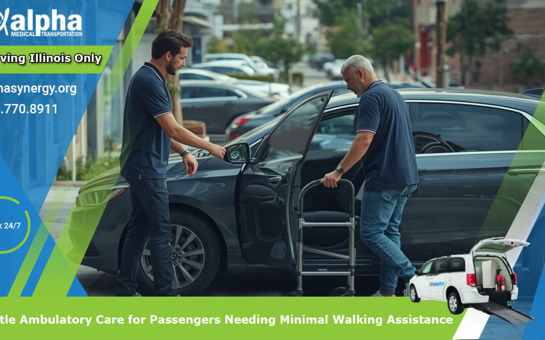 Gentle Ambulatory Care for Passengers Needing Minimal Walking Assistance