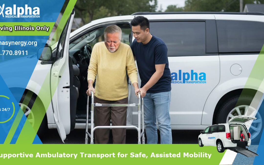 Supportive Ambulatory Transport for Safe, Assisted Mobility